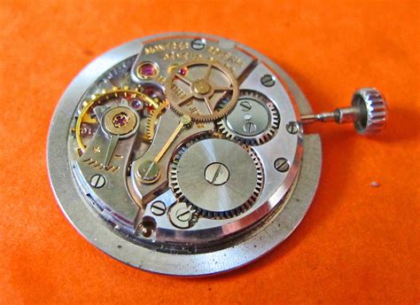 rolex 6494 vs 6694